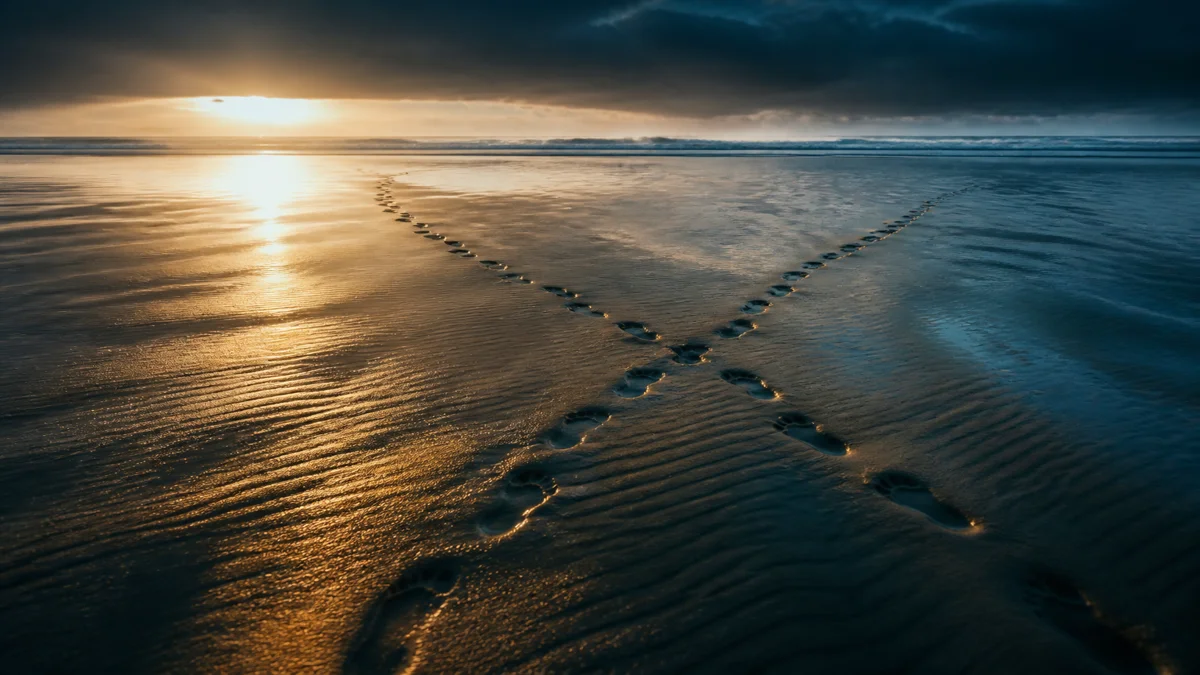 Two sets of footprints crossing wet sand at low tide as raking amber light catches the ridges between them