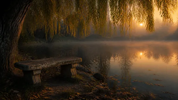 Ancient stone bench beneath a weeping willow beside a quiet reflective pond at sunset with golden leaves floating on still water