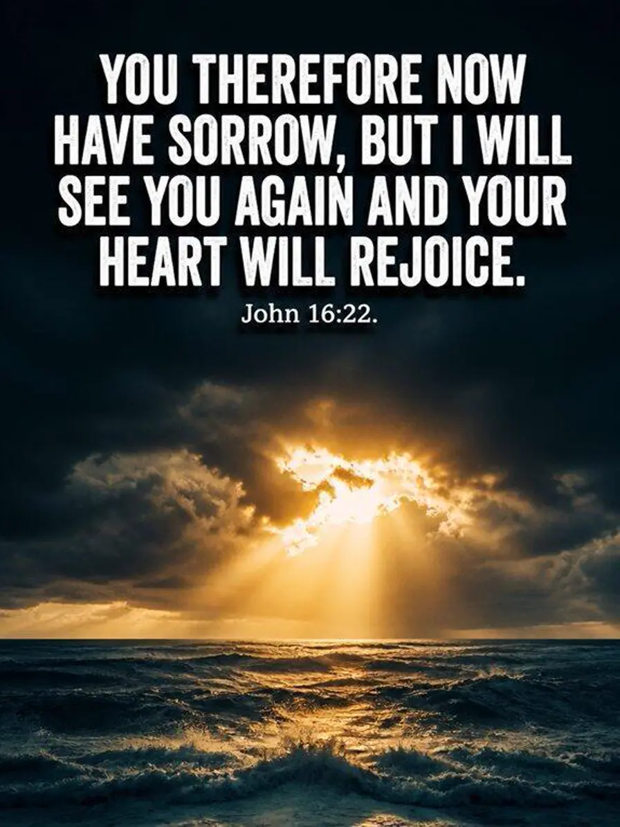 John 16:22 — I Will See You Again Bible verse inspiration