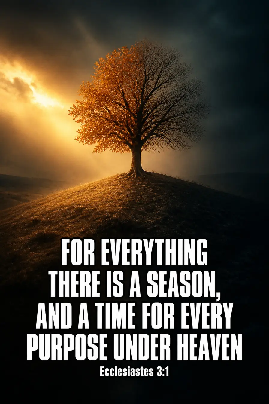 Ecclesiastes 3:1 Bible verse card: “For everything there is a season, and a time for every purpose under heaven”
